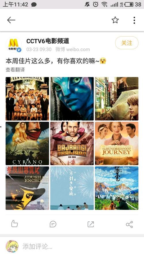 在线观看中央6套,在线观看影视盛宴