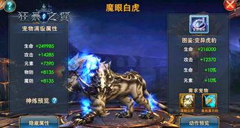 金曜白虎爆料视频大全,揭秘幕后真相与精彩瞬间